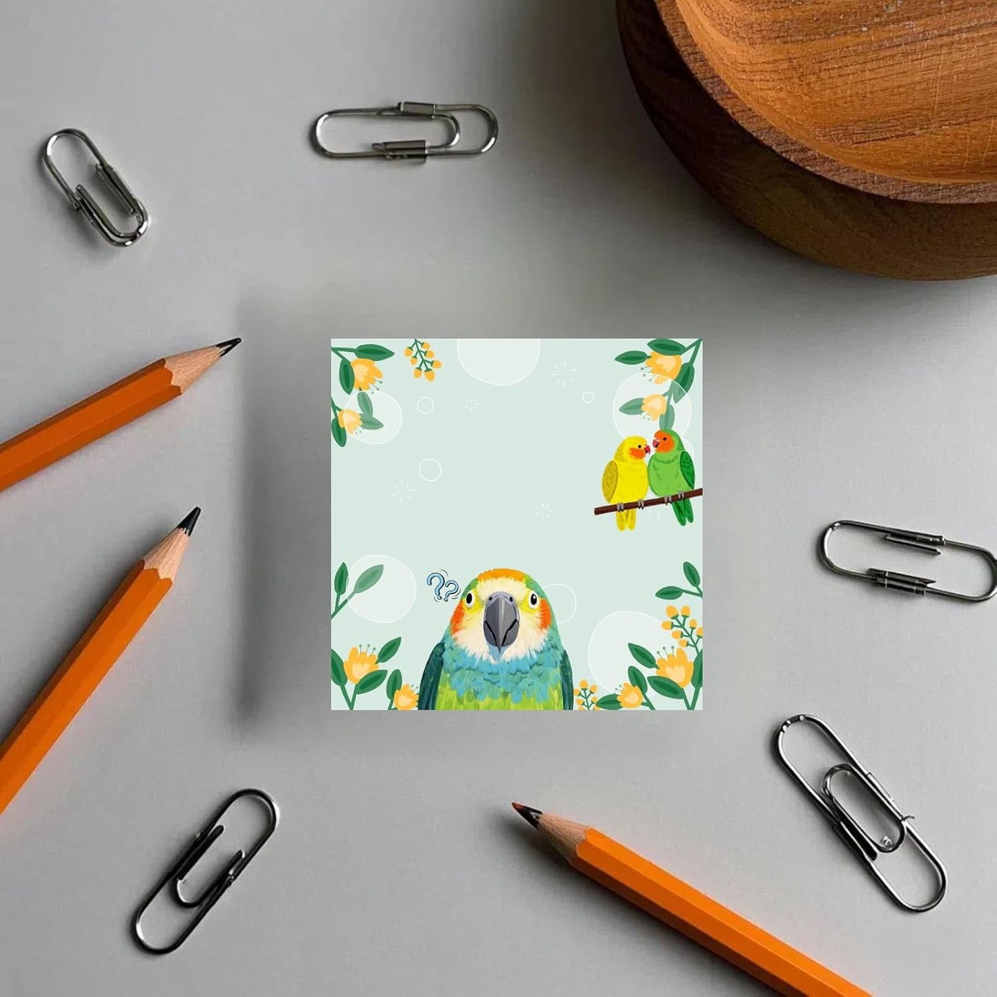 1 Pads Funny Bird Sticky Notes,Funny Animal Sticky Blank Space Notepad,Parrot Scratch Notepad,Animal Lover Gifts for Office Home School Decor Accessories